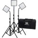 Kit de 3 Lámparas NG CN-576