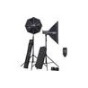 Kit Elinchrom D-Lite RX 4/4 Softbox 20839.2
