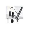 Kit Micrófono Acemic USB-700