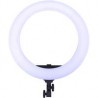 Lámpara Bicolor Dracast Led180 Halo Anillo