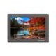 Monitor Lilliput FS7