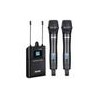 Kit 2 Micros Mano Inalámbricos Acemic DV-500 H+H
