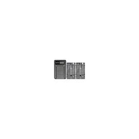 Kit de Cargador Dual y 2 baterías NP-F550 Neewer