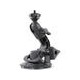 Ventosa Suction Cup Fat Gecko Mini
