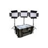 Kit Dracast LED2000 Kala Bi-Color LED 3-Light