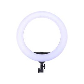 Lámpara Bicolor Dracast Led180 Halo Anillo
