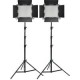 Kit de 2 Lámparas Neewer LED-NL660 LED Bicolor con Pedestales