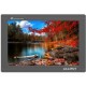 Monitor Lilliput FS7,Monitor Lilliput A7S-B 4K,Monitor Lilliput A5,Tripié Libec TH-X,Monitor Lilliput 569/O,Tripié Libec RS-250