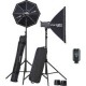 Kit Elinchrom D-Lite RX 4/4 Softbox 20839.2
