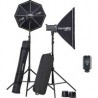 Kit Elinchrom D-Lite RX 4/4 Softbox 20839.2