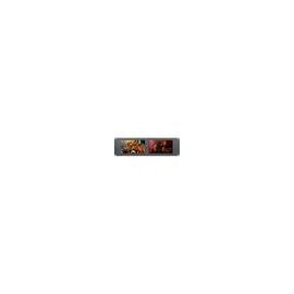 Monitor Blackmagic Smartview Duo