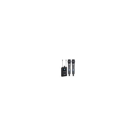 Kit 2 Micros Mano Inalámbricos Acemic DV-500 H+H
