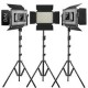 Kit de 3 lámparas GVM 1000D-3L