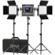 Kit de 3 Lámparas GVM 800D RGB Studio