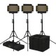 Kit de 3 Lámparas ikan Onyx Half Bicolor OYB5-3PT-KIT