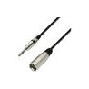 Cable XLR Macho a Mini Plug Macho 5m