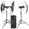Kit de flash de estudio de 3 luces Godox SK400II-D