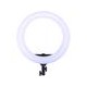 Lámpara Bicolor Dracast Led180 Halo Anillo