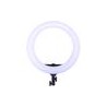 Lámpara Bicolor Dracast Led180 Halo Anillo