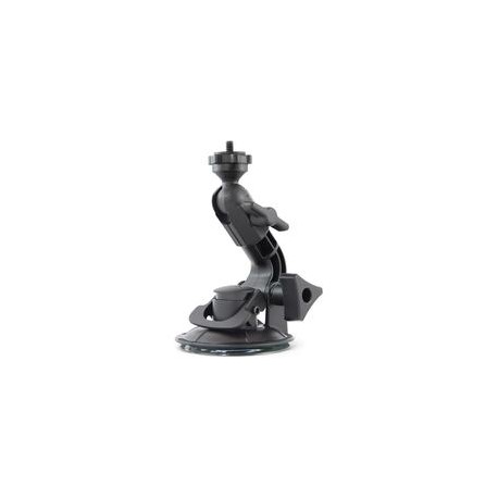 Ventosa Suction Cup Fat Gecko Mini