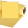 Fondo de Papel 2.7 x 11m Amarillo