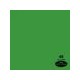 Fondo de Papel Savage Verde Chroma 1.35 mtsx11 mt