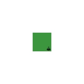 Fondo de Papel Savage Verde Chroma 1.35 mtsx11 mt