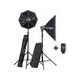 Kit Elinchrom D-Lite RX One/One Softbox to Go 20847.2