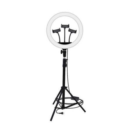 Lámpara de Anillo 18" Ring Fill YQ-460B con pedestal y 3 soportes para celular